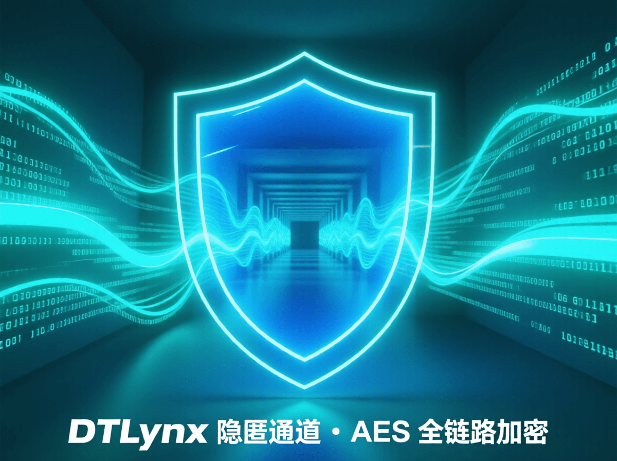 隐匿与安全插图